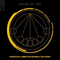 Armin Van Buuren, Pendulum, Rob Swire - Sound of You