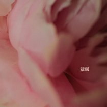 Lewis Capaldi - Survive