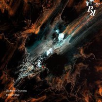 The Palmer Initiative - The Pond of No Return