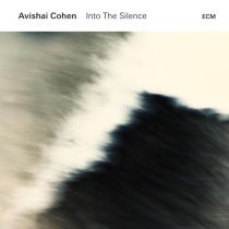 Avishai Cohen - Behind The Broken Glass