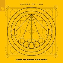 Armin Van Buuren, Rob Swire - Sound of You