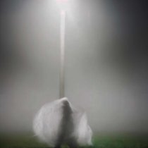 Sofia Fox - ветром стать