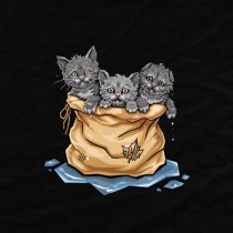 Эсчевский - Уязвим