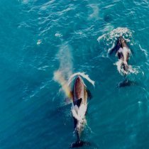 Иво - Света и Рая