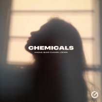 Chique, Bump Flicker, L7even - Chemicals