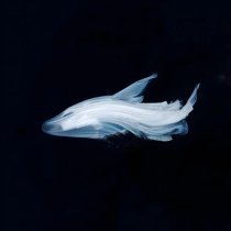 Igor Khabarov - Aether