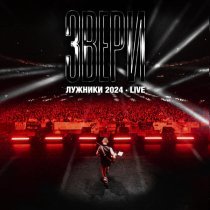 Звери - Рома, извини (Лужники 2024, Live)