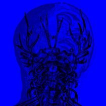 MANDY, Indiana - Cursive