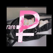 FORTUNA 812, BasedGod - rare