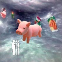 Veniamin Svinia - pozor