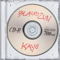 Blaudzun - Kayo (Instrumental)