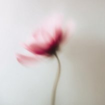 MVRSXX, DALEN, Moretti - This is Mine