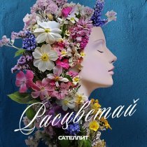 Сателлит - Когда-нибудь