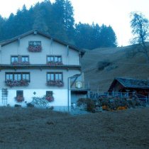 Money Flip - shades of you