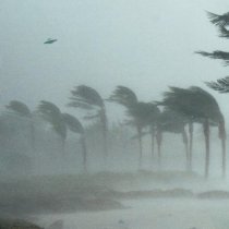 Phoenix, Braxe, Ufos, Falcon - UFO