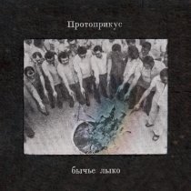 Протоприкус - Бычье Лыко