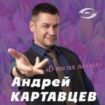 Андрей Картавцев - Элегия
