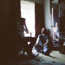 Whitney - Dandelions