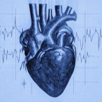 SATOMIC - BLOOD FLOW