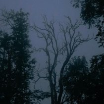 Money Flip - i still see you