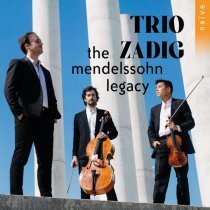 Trio Zadig - Piano Trio in D Minor, Op. 11: I. Allegro molto vivace