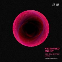 Deep Sound Effect, Leusin - Несколько минут