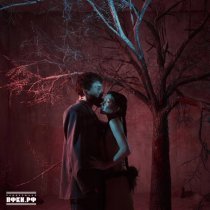 SVOYI - Дом твоей души