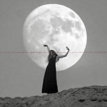 Purga - Сетью рек