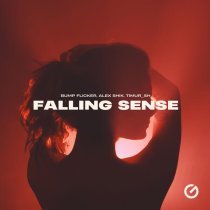Bump Flicker, Alex Shik, Timur_SH - Falling Sense