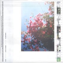 edapollo, Alice Ivy - forgetaboutyou