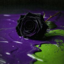 Divided Island, Egor Erushin, Abyss, Watching Me - Без претензий