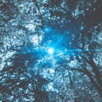 Aura BAE, Seamoon, Ekki - Komorebi 木漏れ日