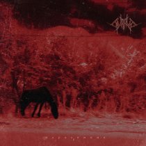 Supruga - Каркоза