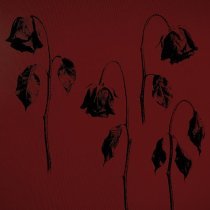 балкон ожиданий - сходили с ума