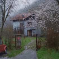 Money Flip - I Think I Love You 2