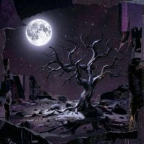 Tigerberry - Find the Way