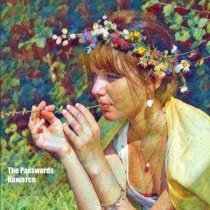 The Passwords - Кажется
