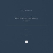Johannes Brahms - 16 Waltzes, Op. 39: Selections (Arr. Brahms for Piano)