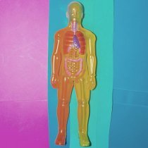 Hasnuts - don't struggle