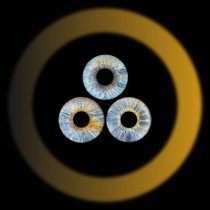 Восьмой Сад - Искренне