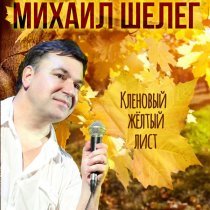 Михаил Шелег - Кленовый жёлтый лист