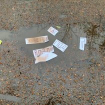 Надбровная дуга - Как живётся под водой