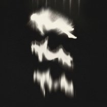 Dear Youth - Something About You