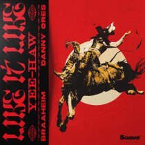 Braaheim, Danny Ores - Like It Like (Yee-Haw)