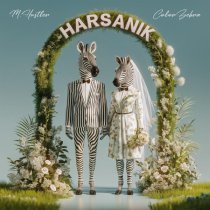 M.Hustler, Color Zebra - Harsanik