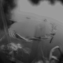 Шунема, IZBA - Леший