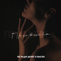 Не Ради Денег, Васек - Привычка