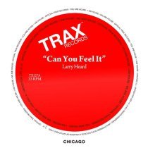 Larry Heard - Can You Feel It (Martin Luther King Mix)