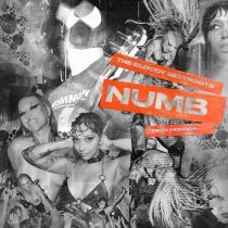 The Bloody Beetroots, Tokky Horror - NUMB