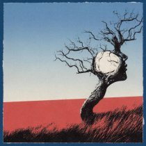 Ollane - Фотография